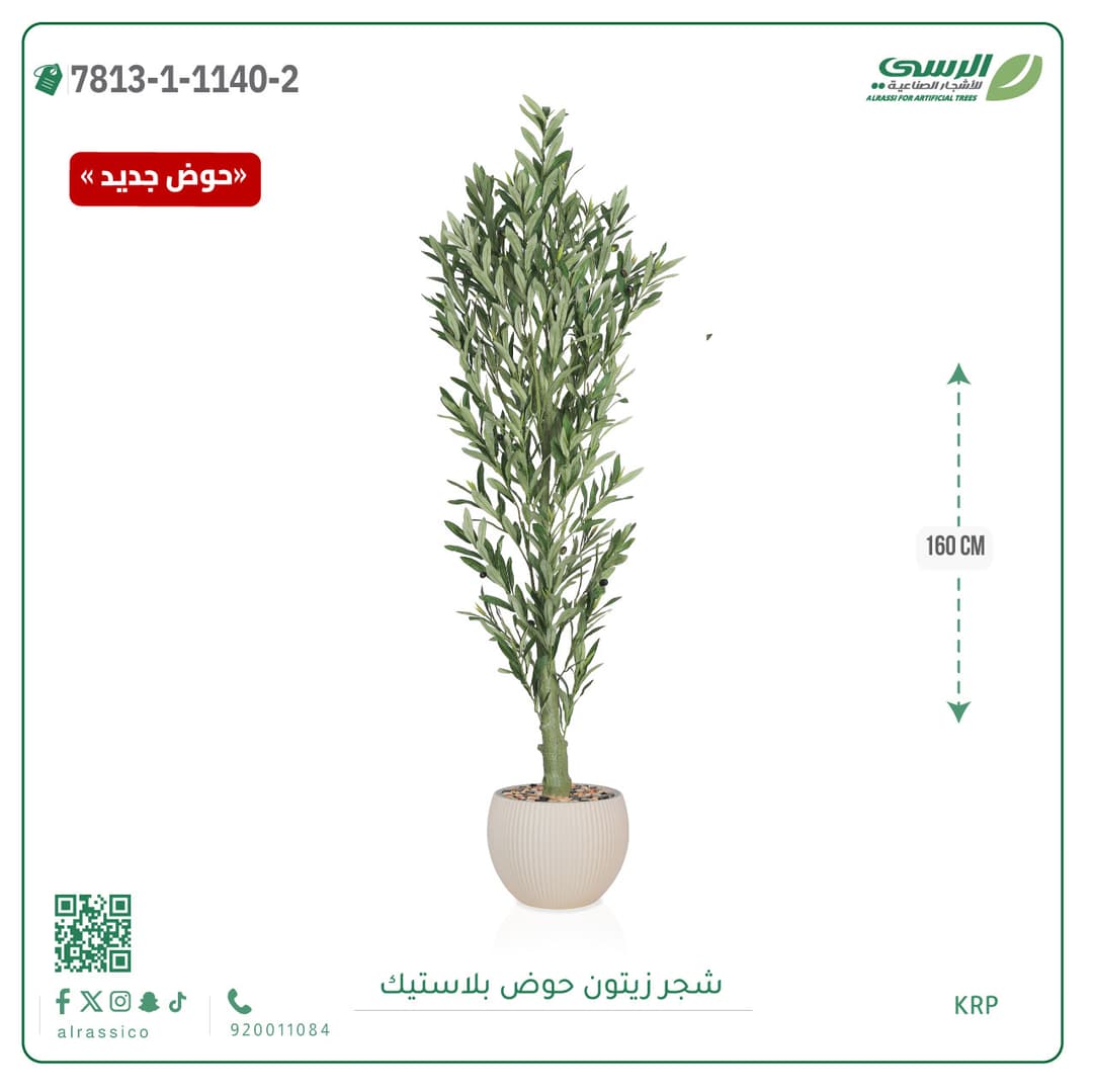 Olive Tree Plastic Pot
