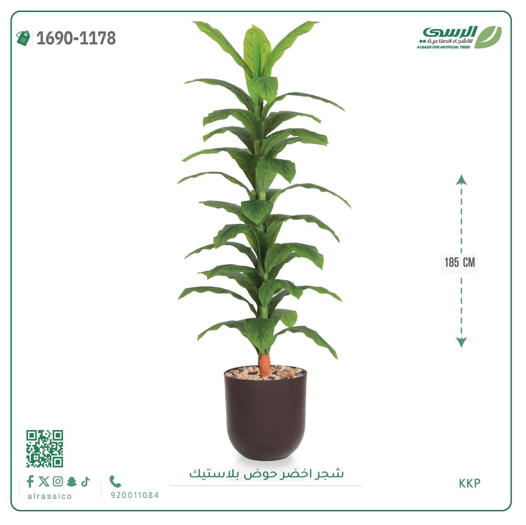 شجر اخضر حوض بلاستيك