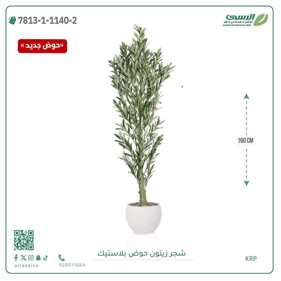Olive Tree Plastic Pot