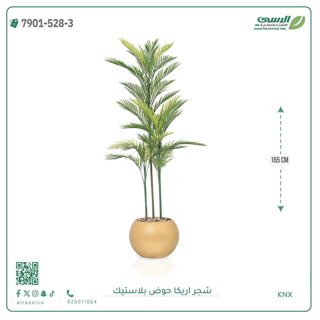 Areca Plant Plastic Pot