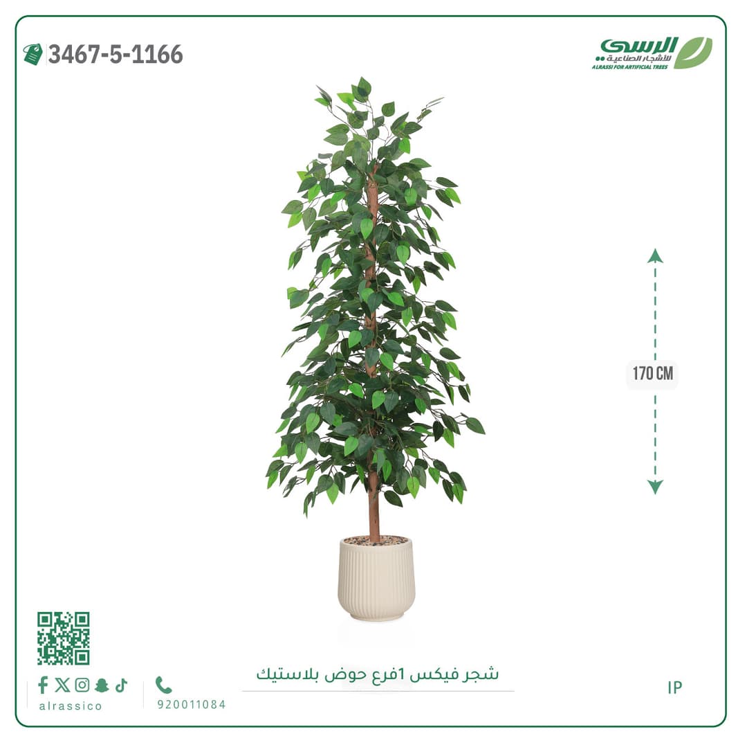 شجرة فيكس صناعية بحوض بلاستيك دائري لون غامق