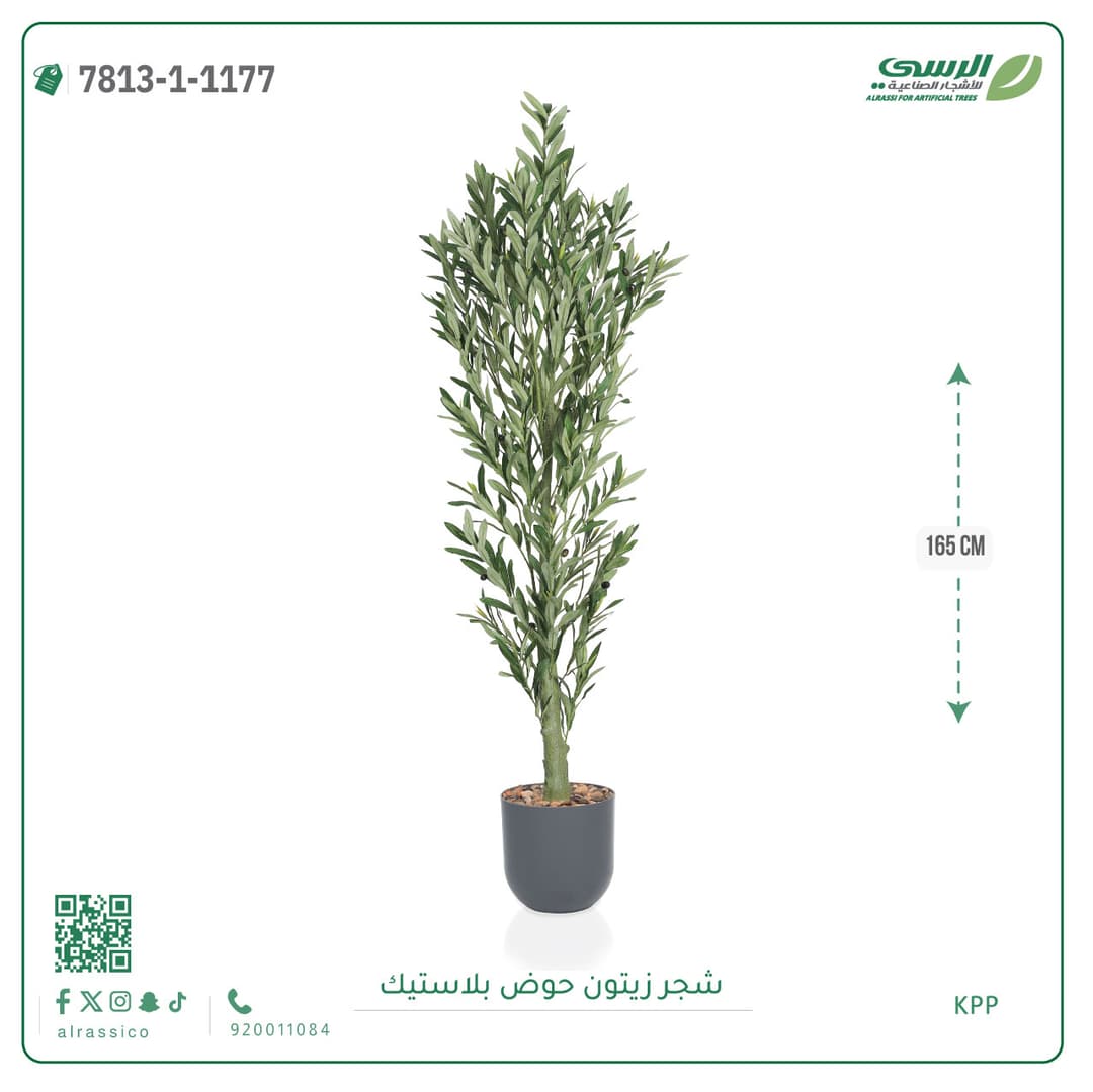 Olive Tree Plastic Pot