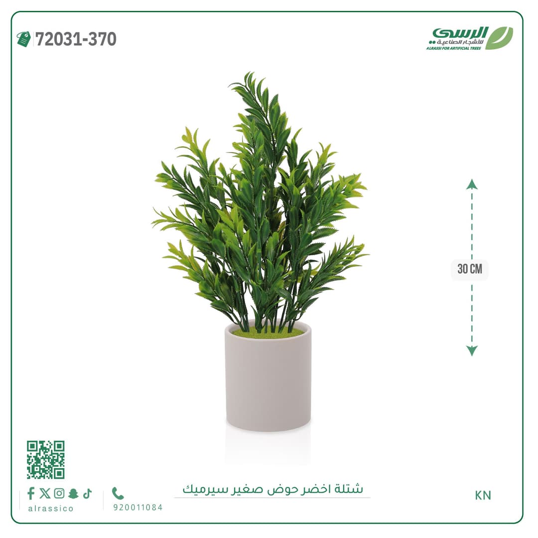 Green Plant Small Ceramic Pot