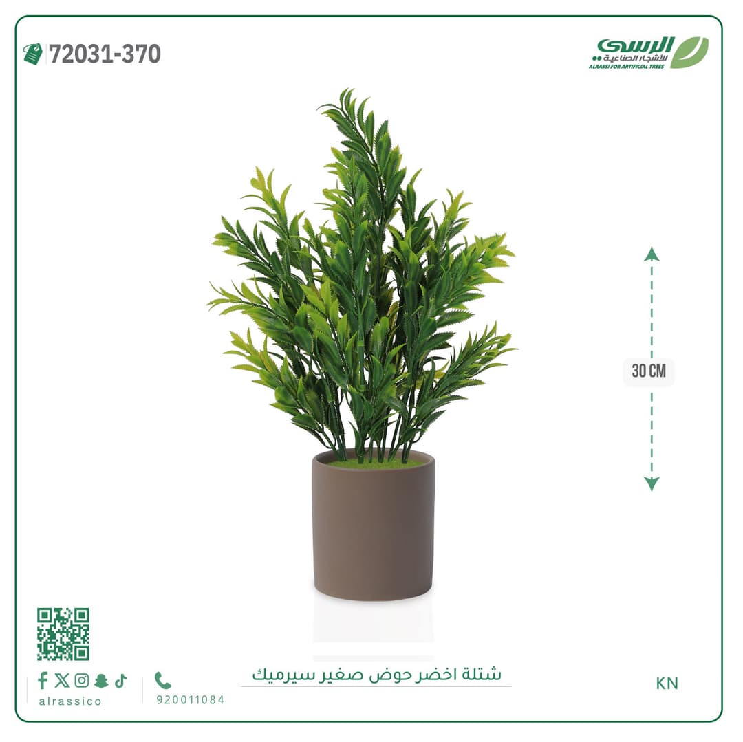 Green Plant Small Ceramic Pot