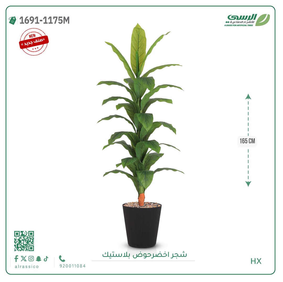 شجر موزمقاس 155 سم 