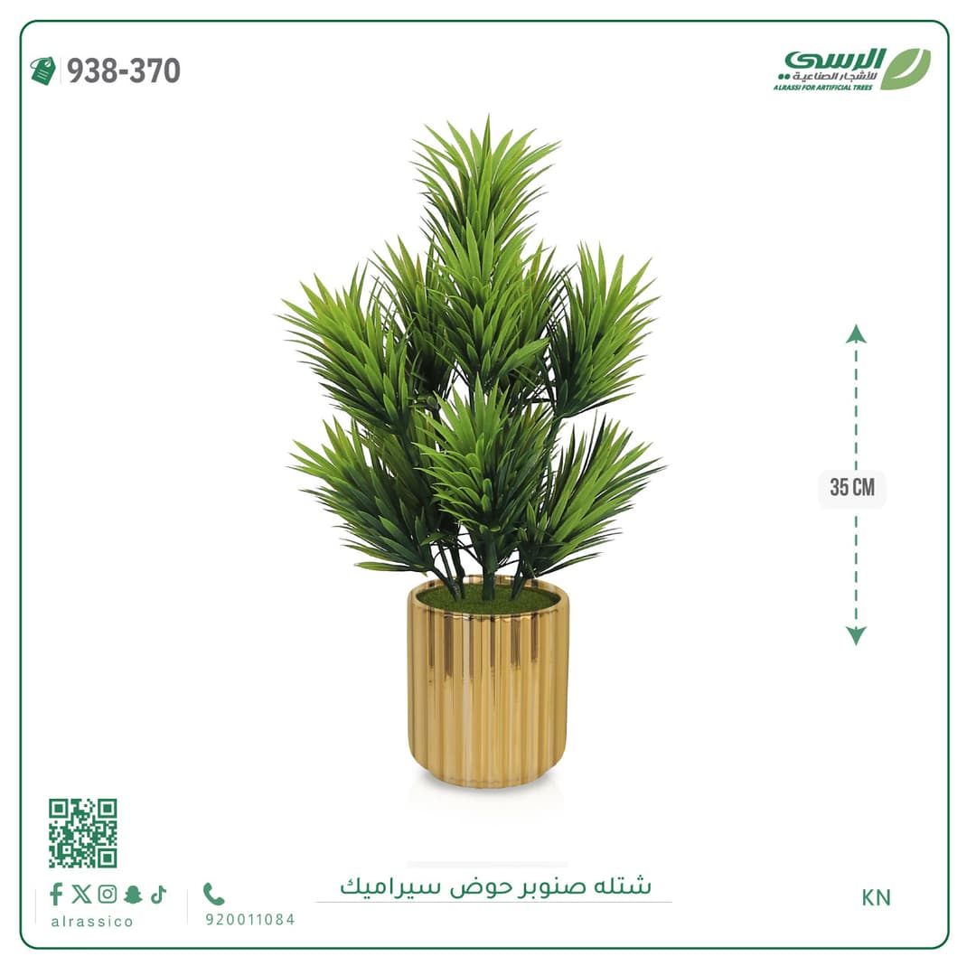 Pine Plant Ceramic Pot