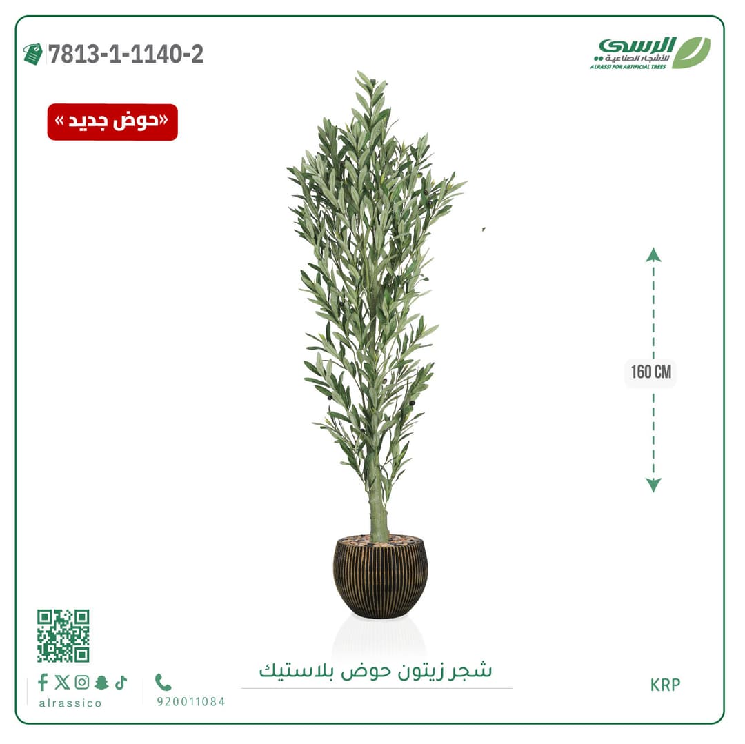 Olive Tree Plastic Pot