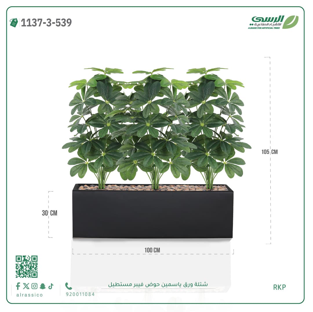 Jasmine plant in a rectangular fiberglass planter