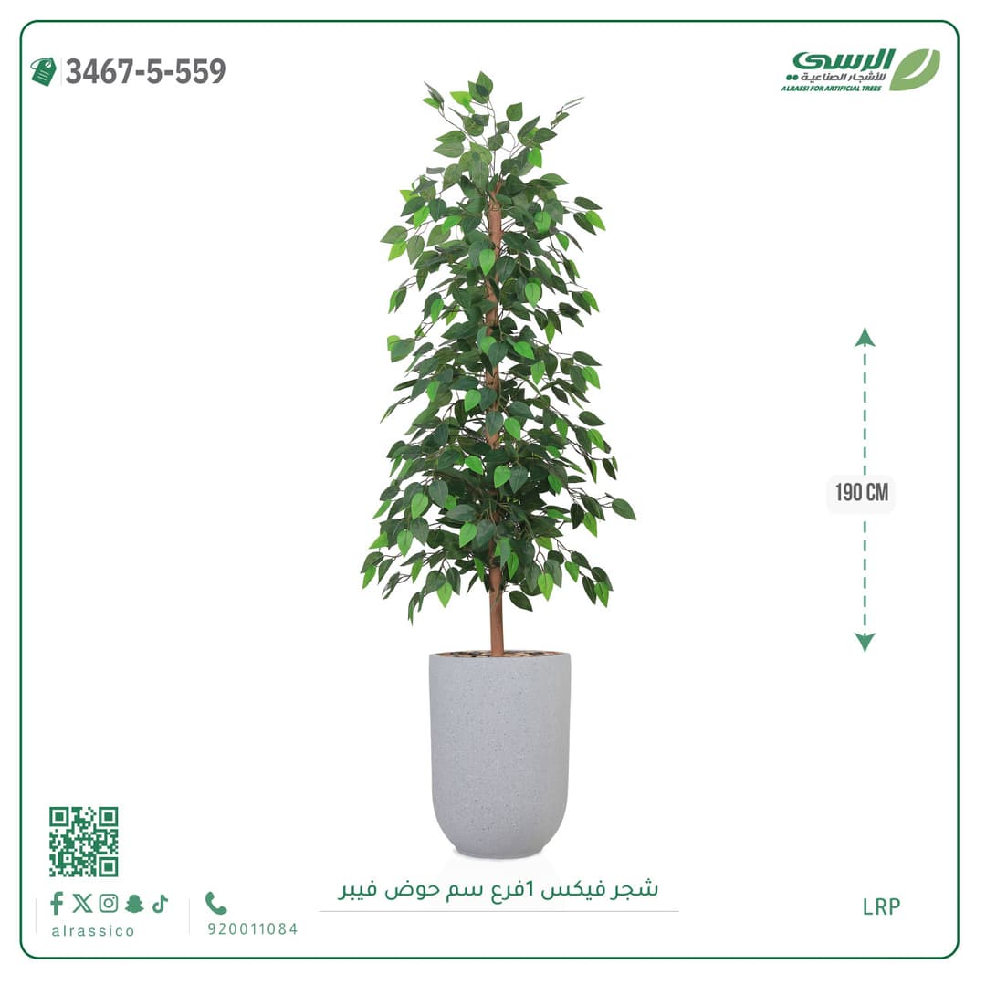شجرة فيكس صناعية بحوض فيبر لون غامق