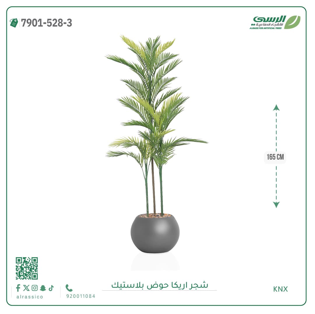 Areca Plant Plastic Pot