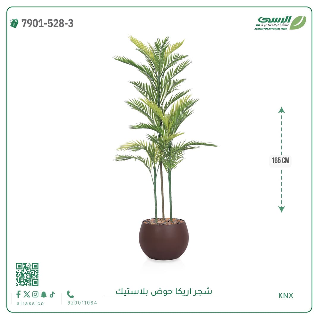 Areca Plant Plastic Pot