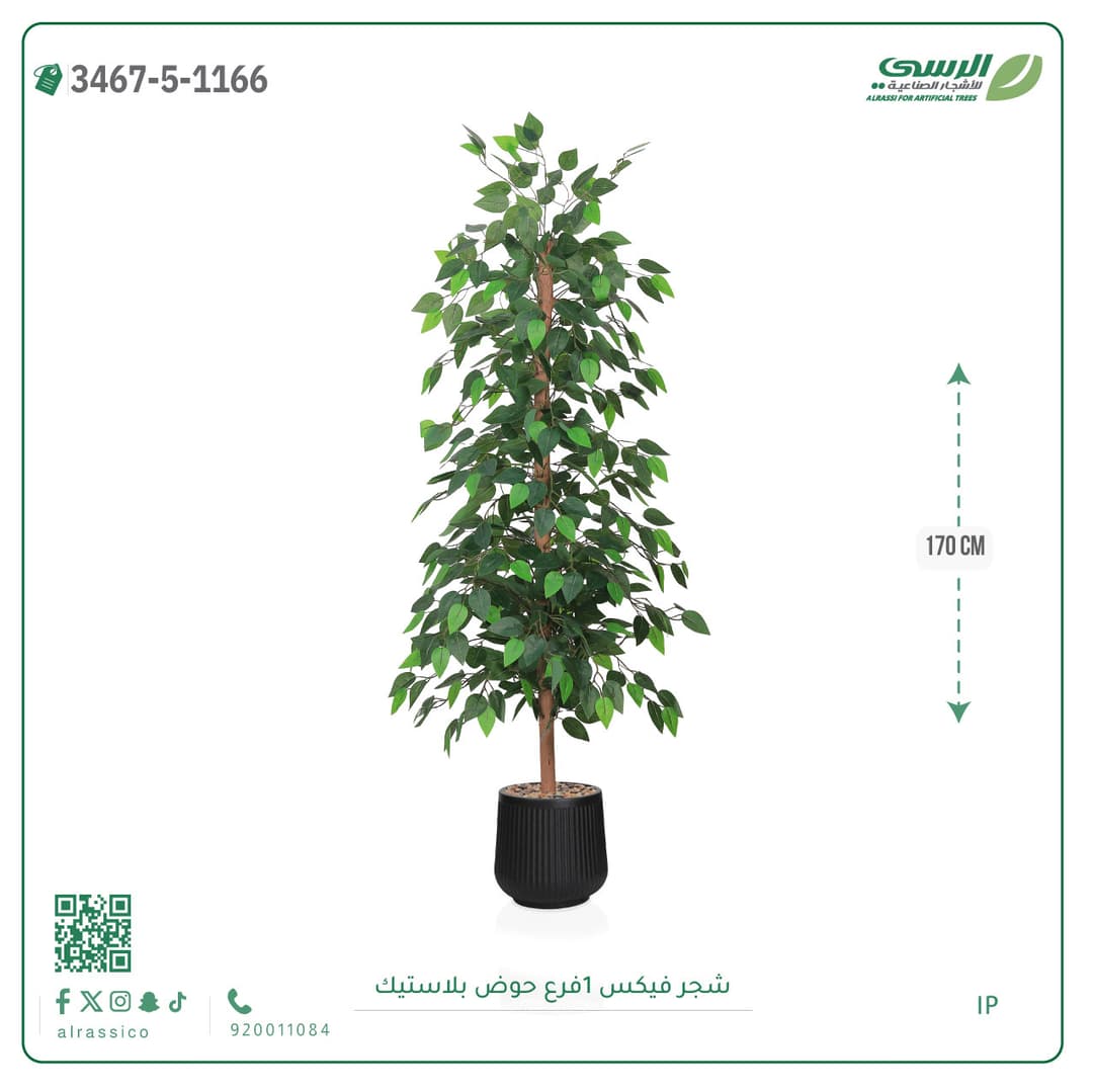 شجرة فيكس صناعية بحوض بلاستيك دائري لون غامق