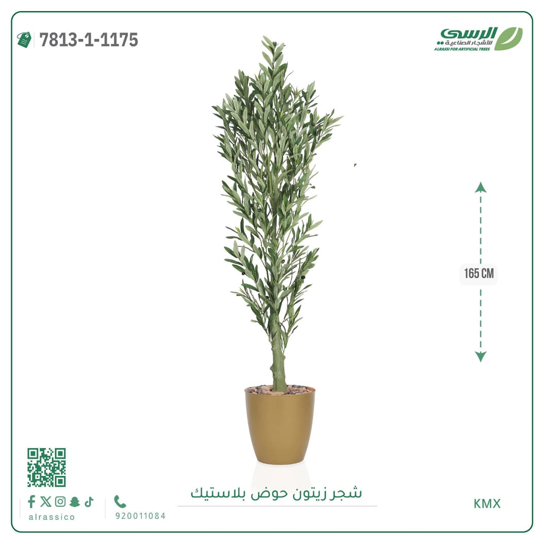 Olive Tree Plastic Pot