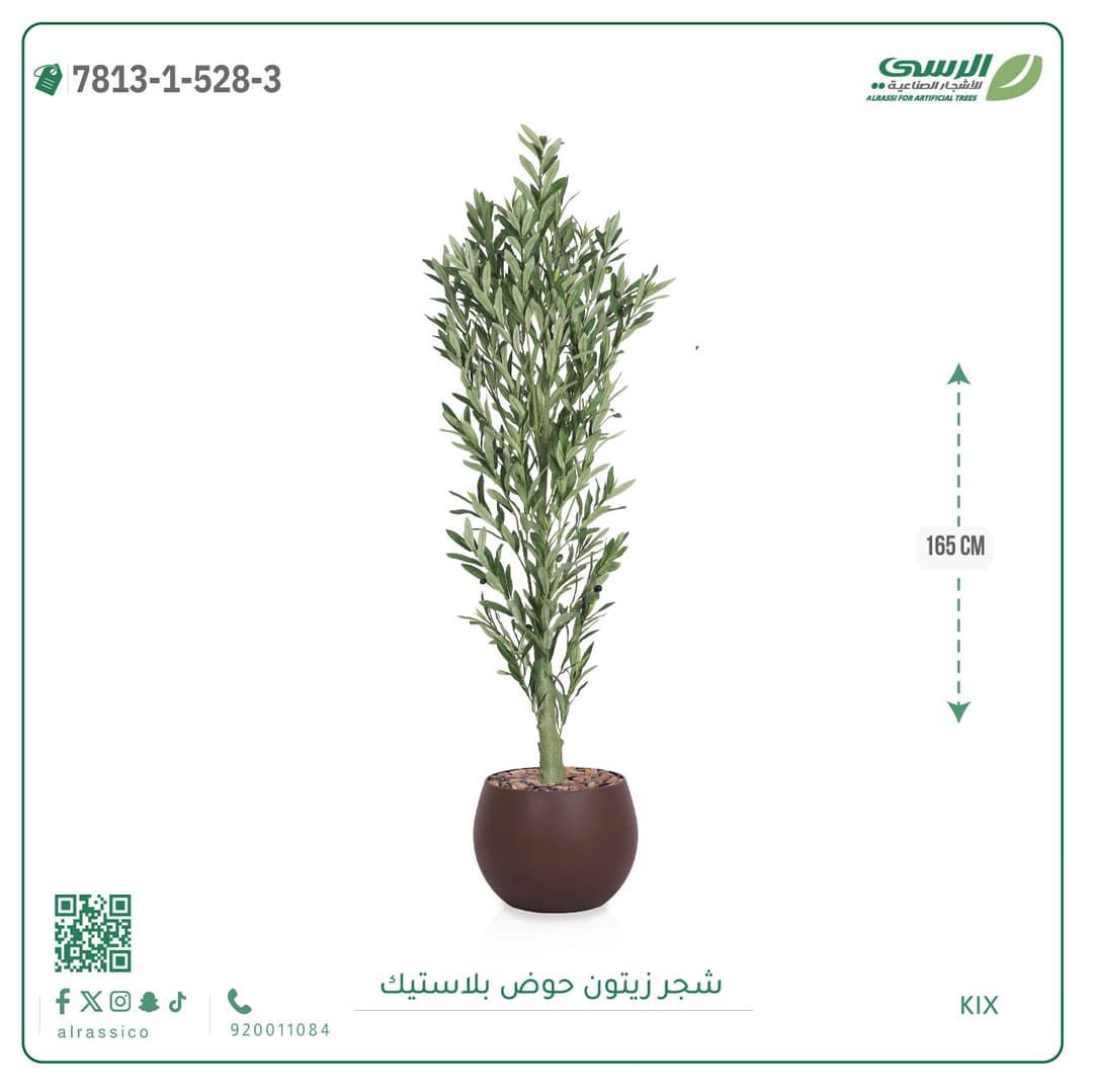 Olive Tree Plastic Pot