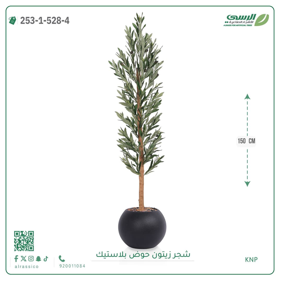 شجر نخل مركن بلاسيتك دائري 