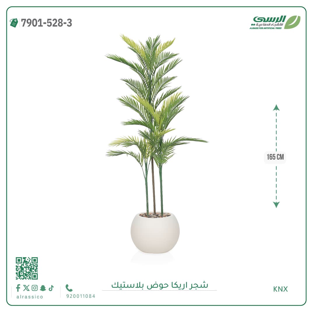 Areca Plant Plastic Pot