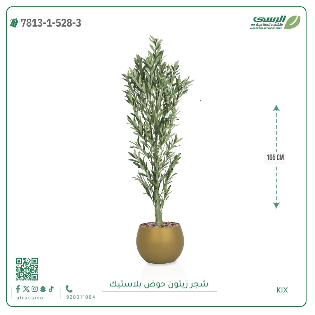 Olive Tree Plastic Pot