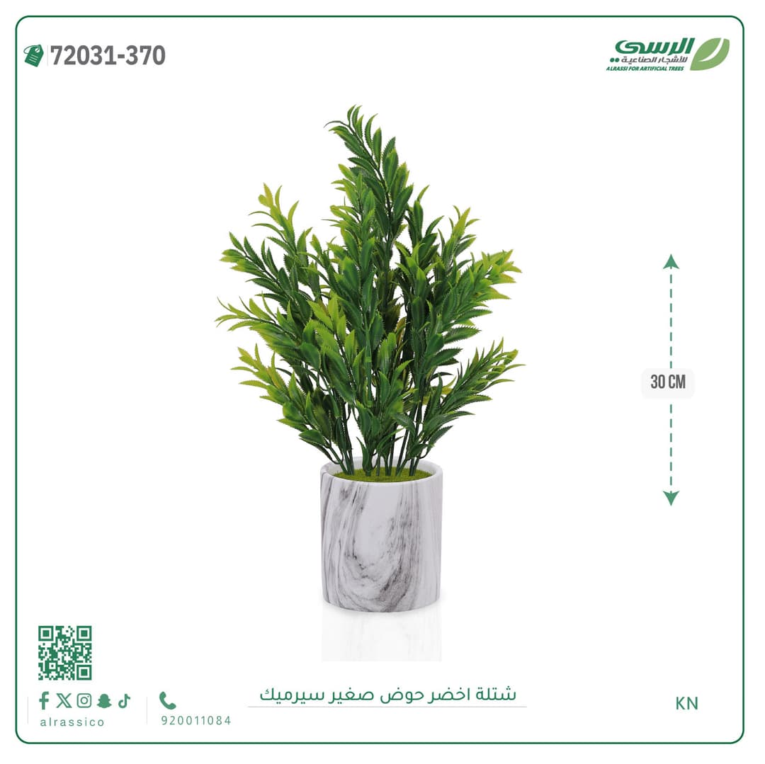 Green Plant Small Ceramic Pot