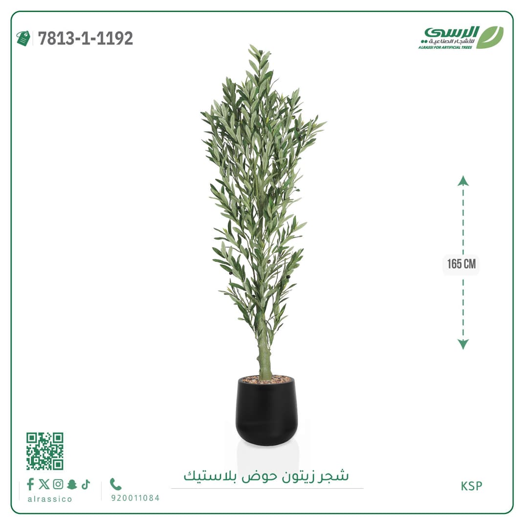 Olive Tree Plastic Pot