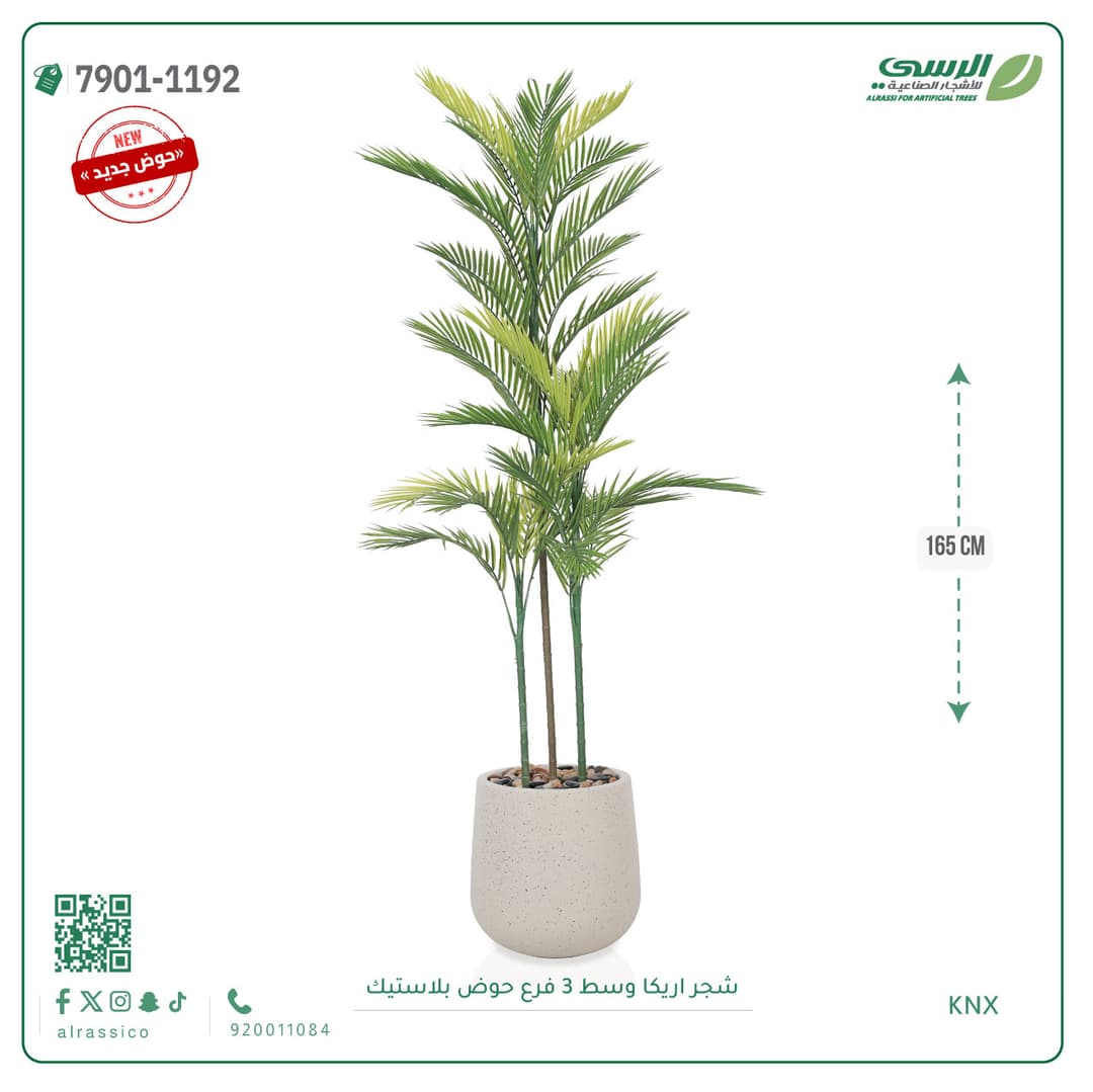  نخل أريكا اصطناعية (3 فرع) بمركن بلاستيك أسطواني 