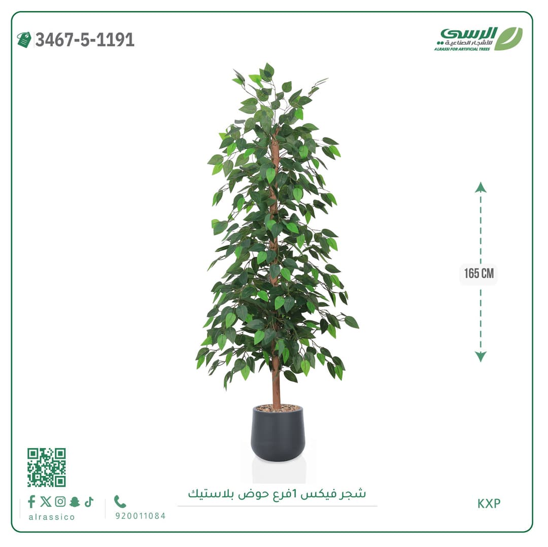 شجرة فيكس صناعية بحوض بلاستيك دائري لون غامق