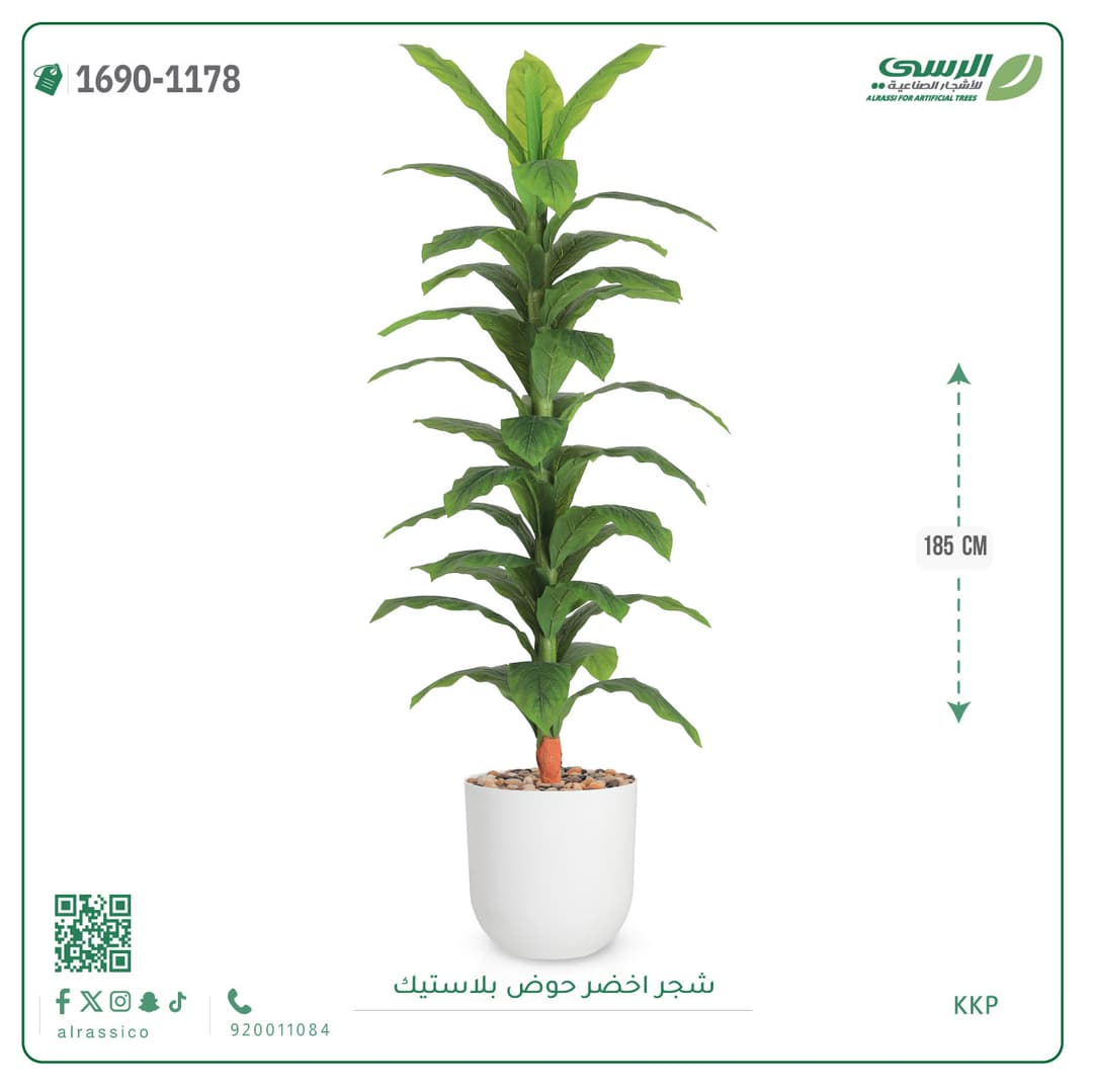 شجر اخضر حوض بلاستيك