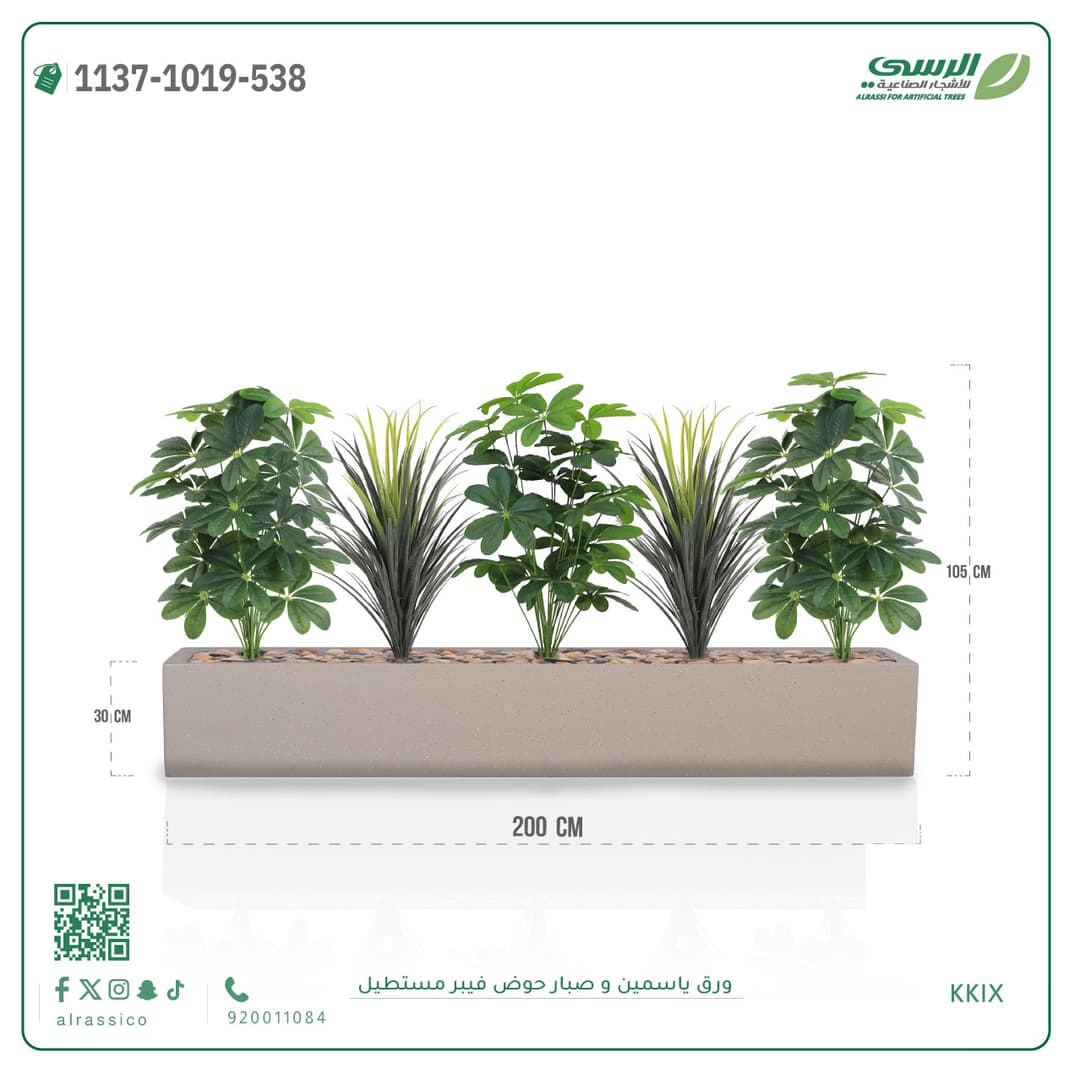 Arrangement of jasmine foliage and cactus in a rectangular fiberglass planter