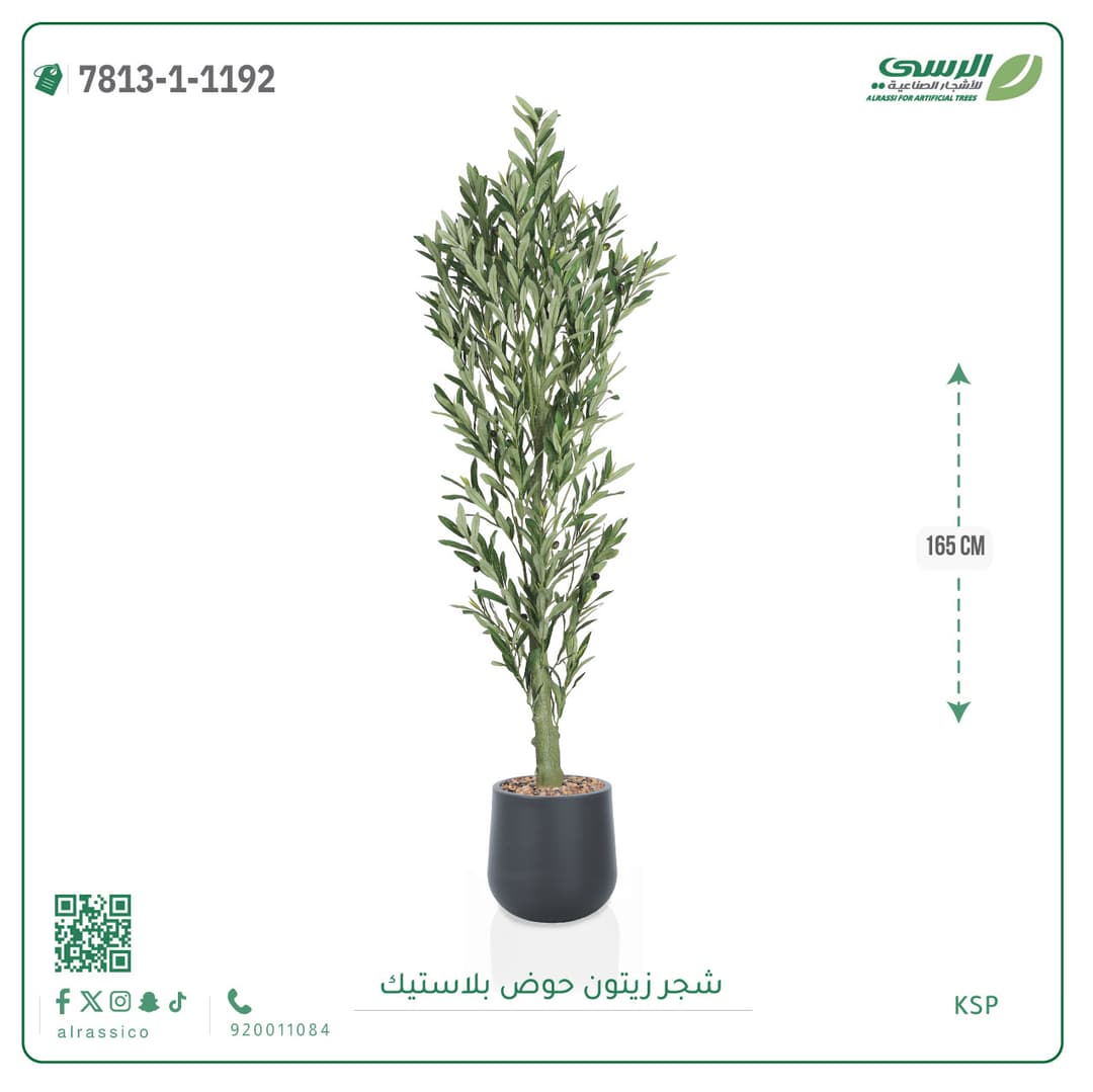 Olive Tree Plastic Pot