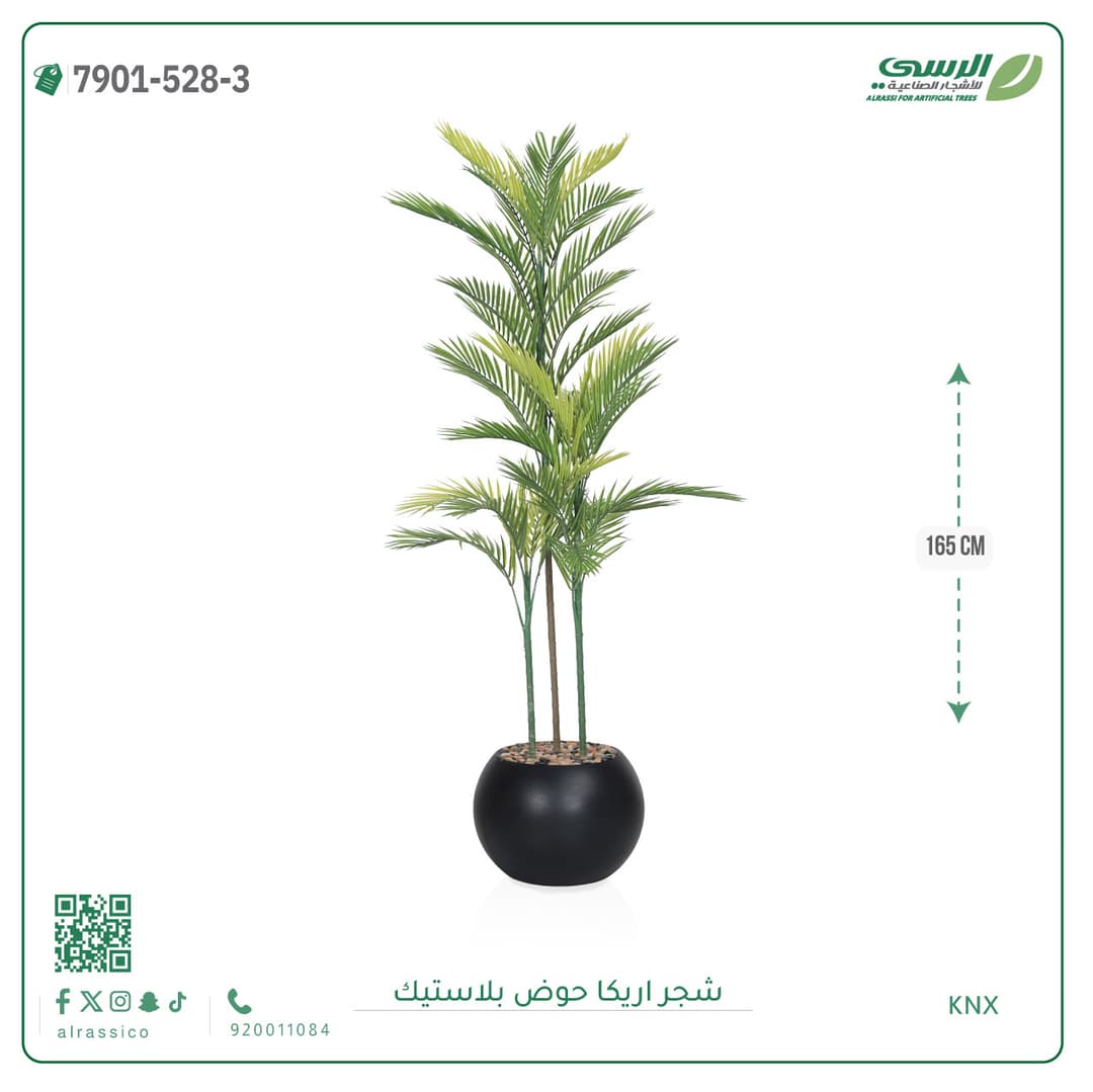 Areca Plant Plastic Pot
