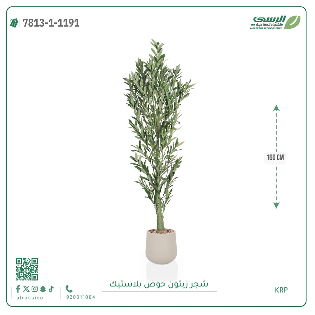Olive Tree Plastic Pot