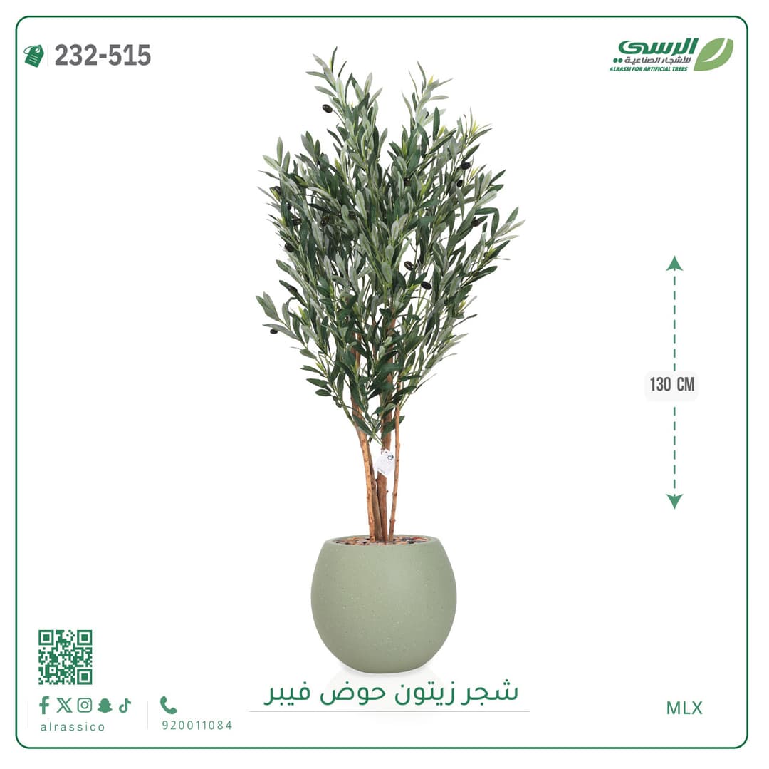شجر زيتون حوض فايبر