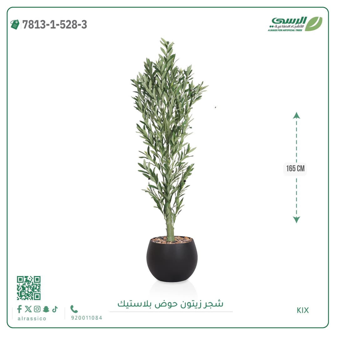 Olive Tree Plastic Pot
