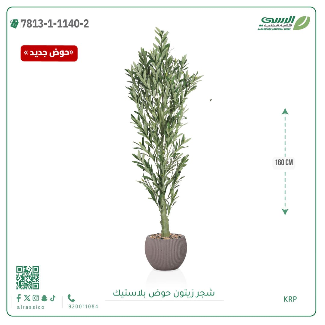 Olive Tree Plastic Pot