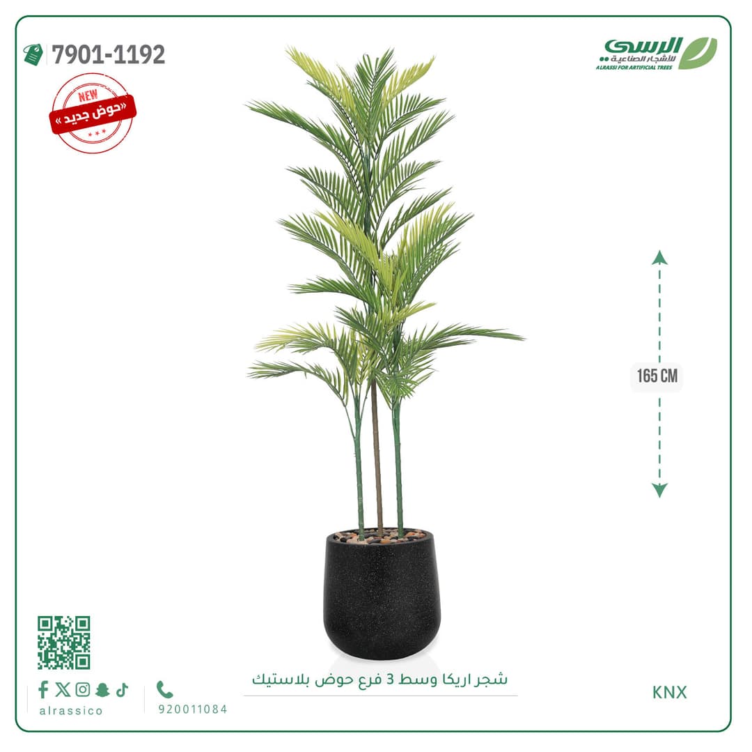 نخل أريكا اصطناعية (3 فرع) بمركن بلاستيك أسطواني 