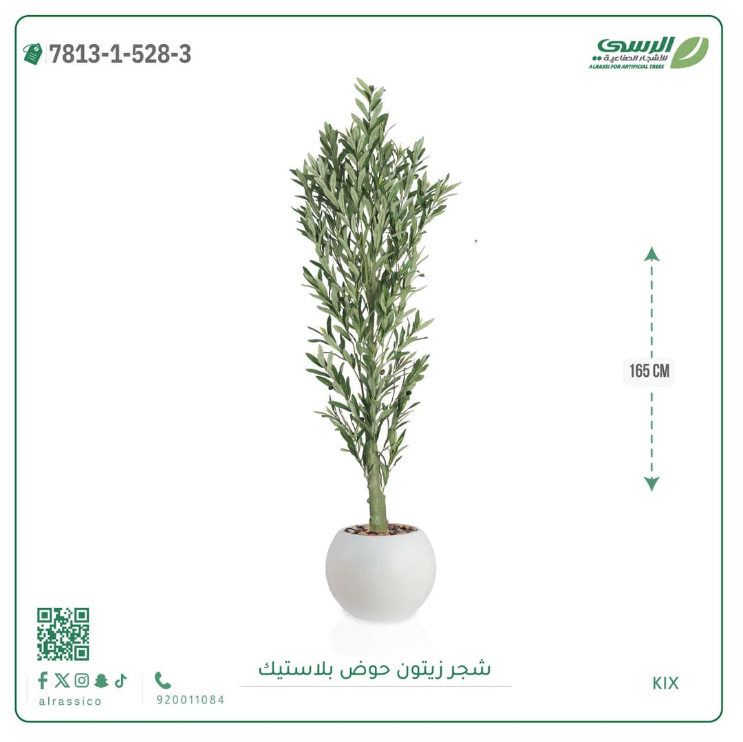 Olive Tree Plastic Pot
