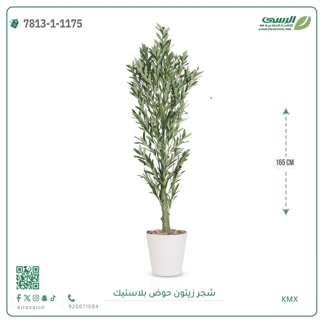 Olive Tree Plastic Pot