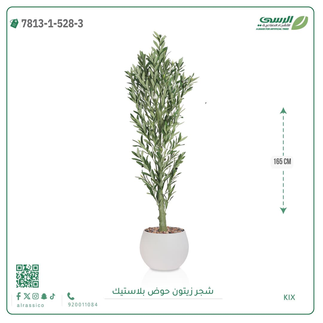 Olive Tree Plastic Pot