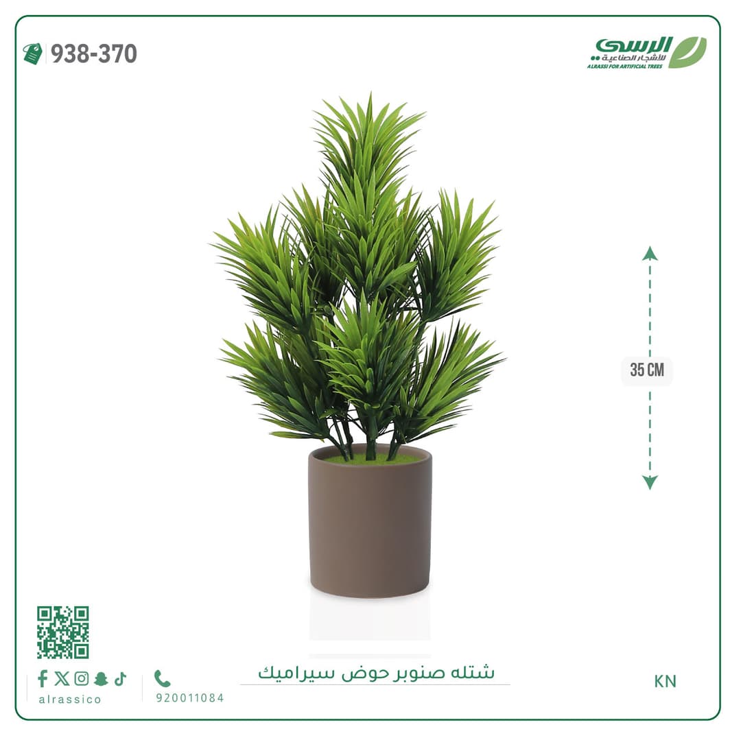 Pine Plant Ceramic Pot