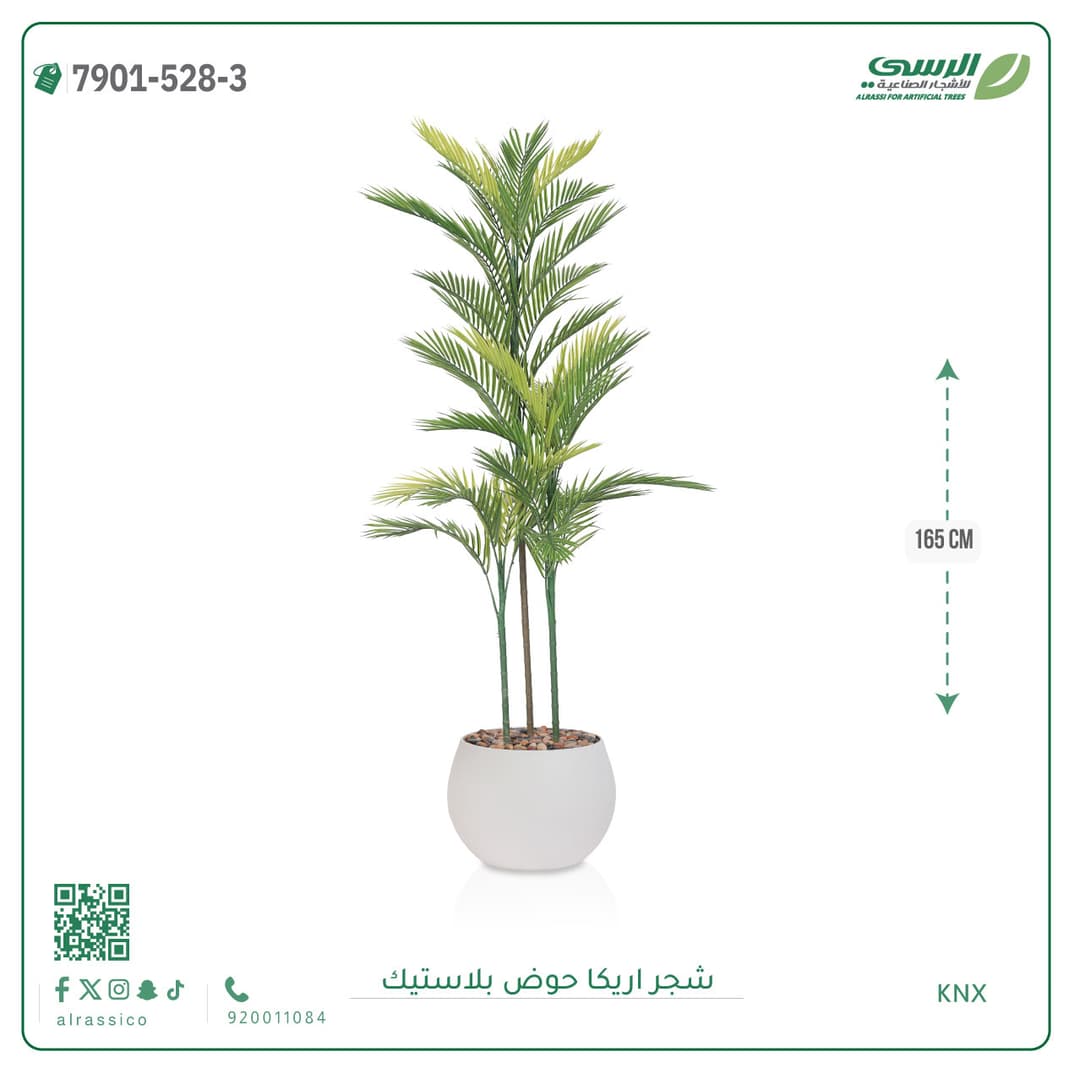 Areca Plant Plastic Pot