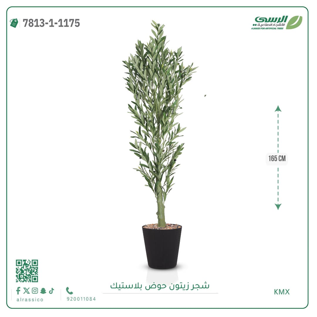 Olive Tree Plastic Pot