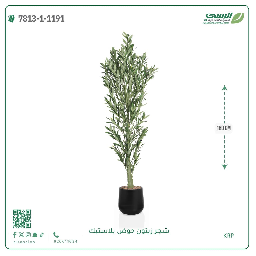Olive Tree Plastic Pot