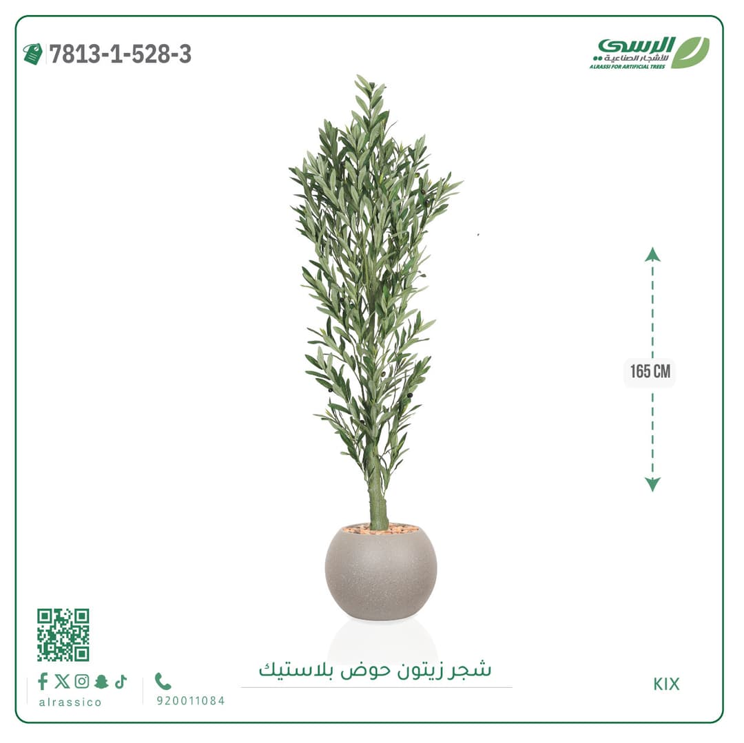 Olive Tree Plastic Pot