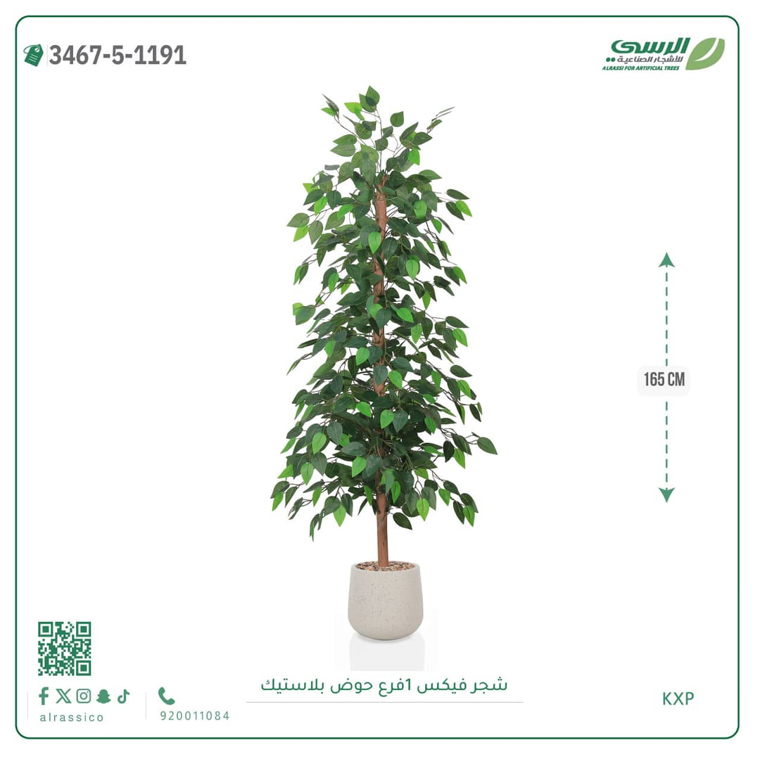 شجرة فيكس صناعية بحوض بلاستيك دائري لون غامق