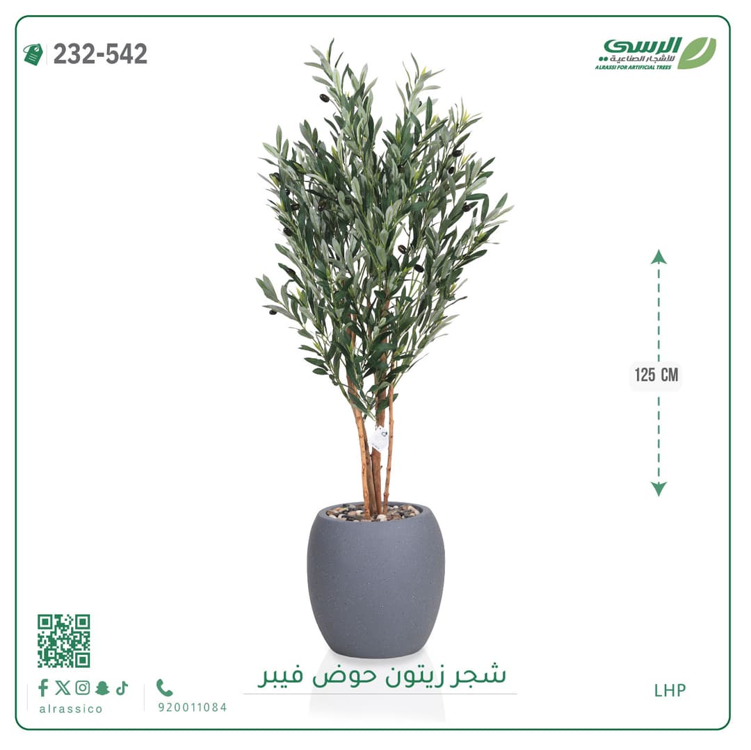 شجر زيتون حوض فايبر 125 سم