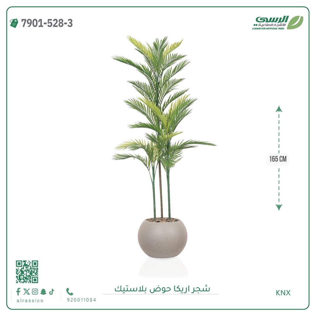 Areca Plant Plastic Pot