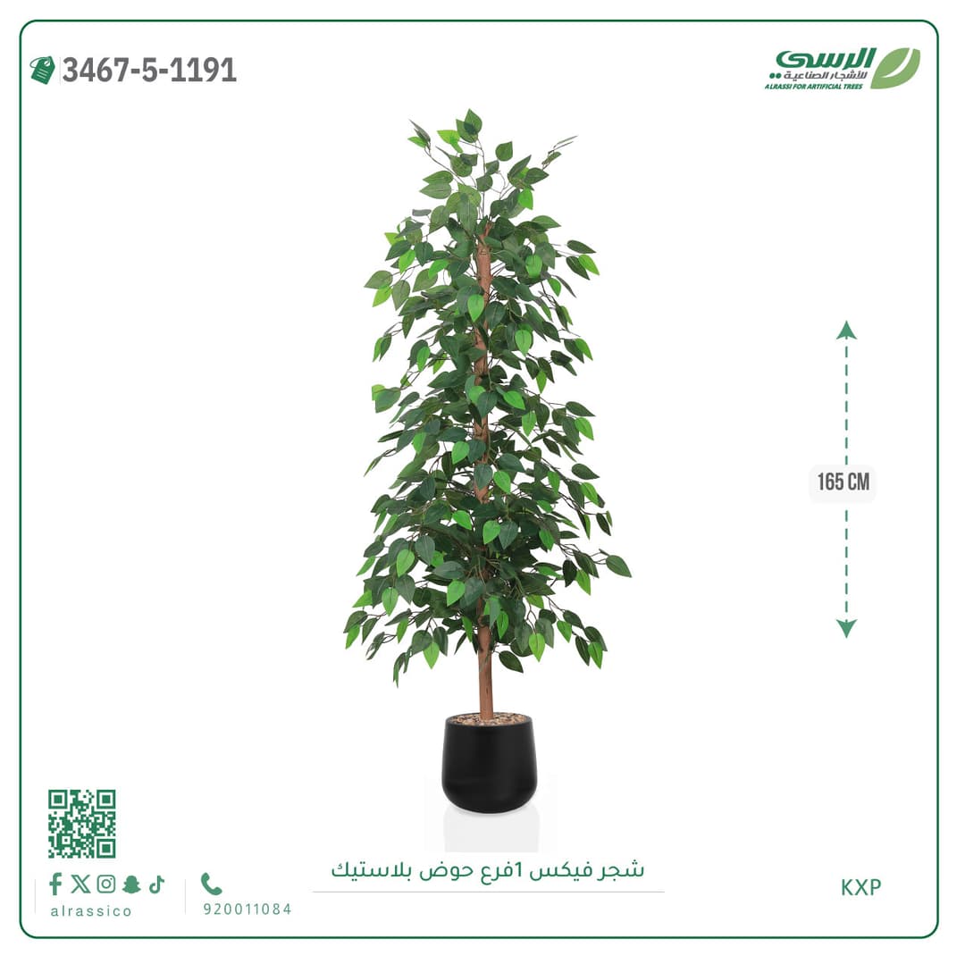 شجرة فيكس صناعية بحوض بلاستيك دائري لون غامق