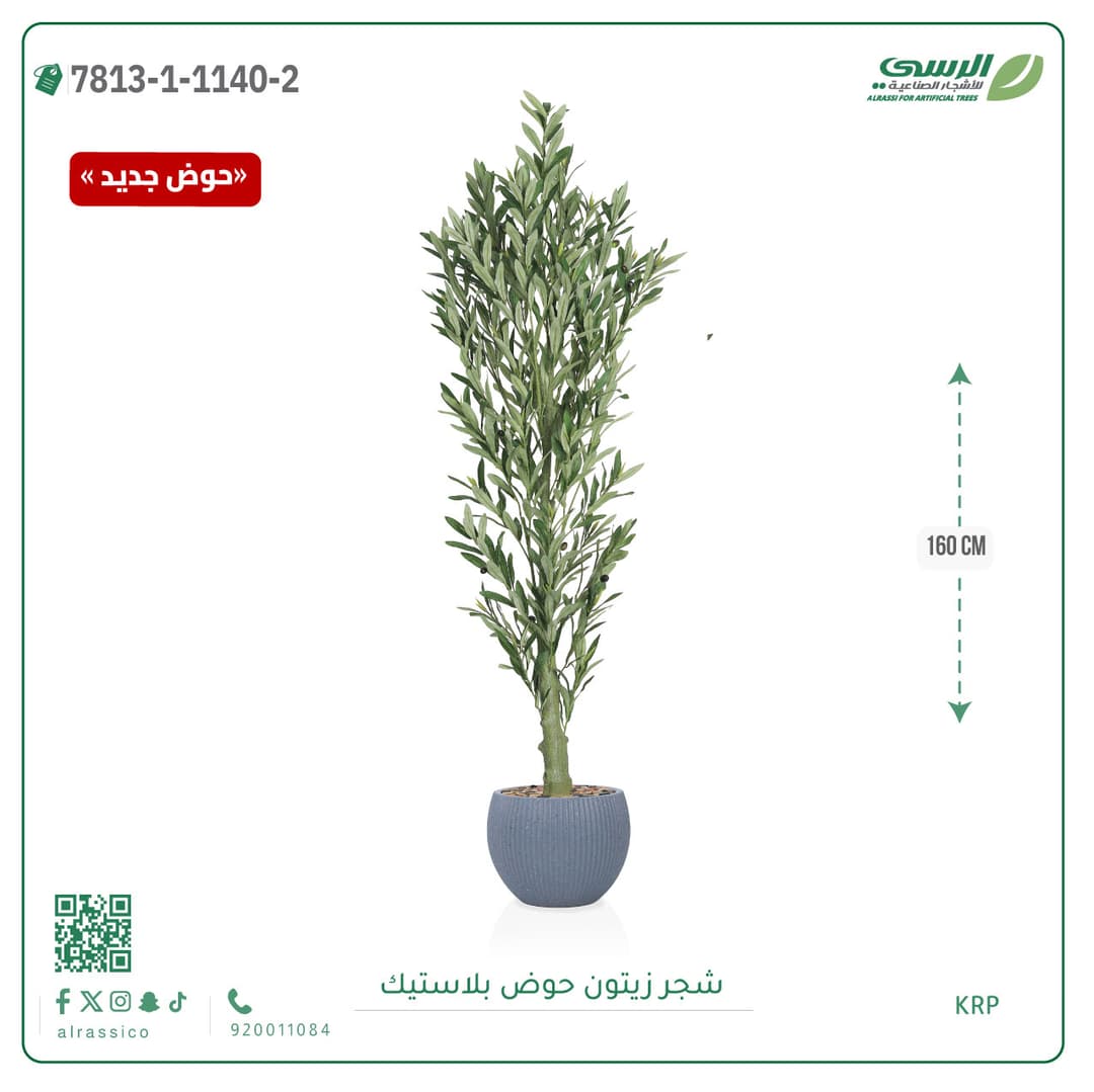 Olive Tree Plastic Pot