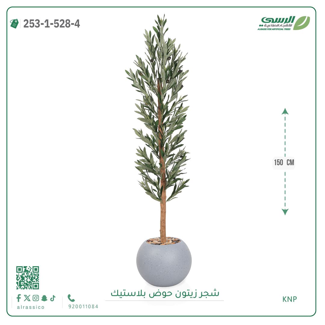 شجر نخل مركن بلاسيتك دائري 