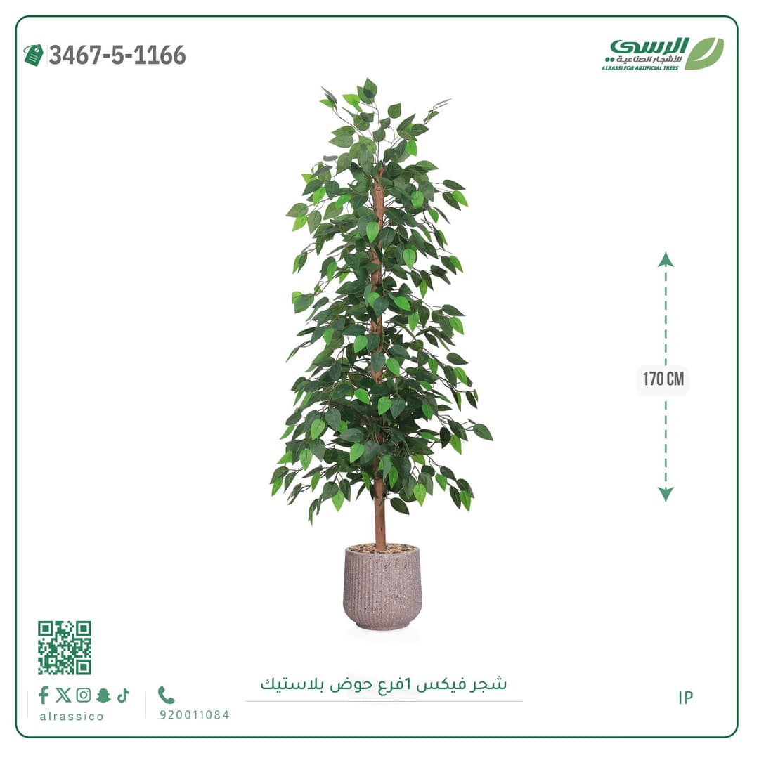 شجرة فيكس صناعية بحوض بلاستيك دائري لون غامق