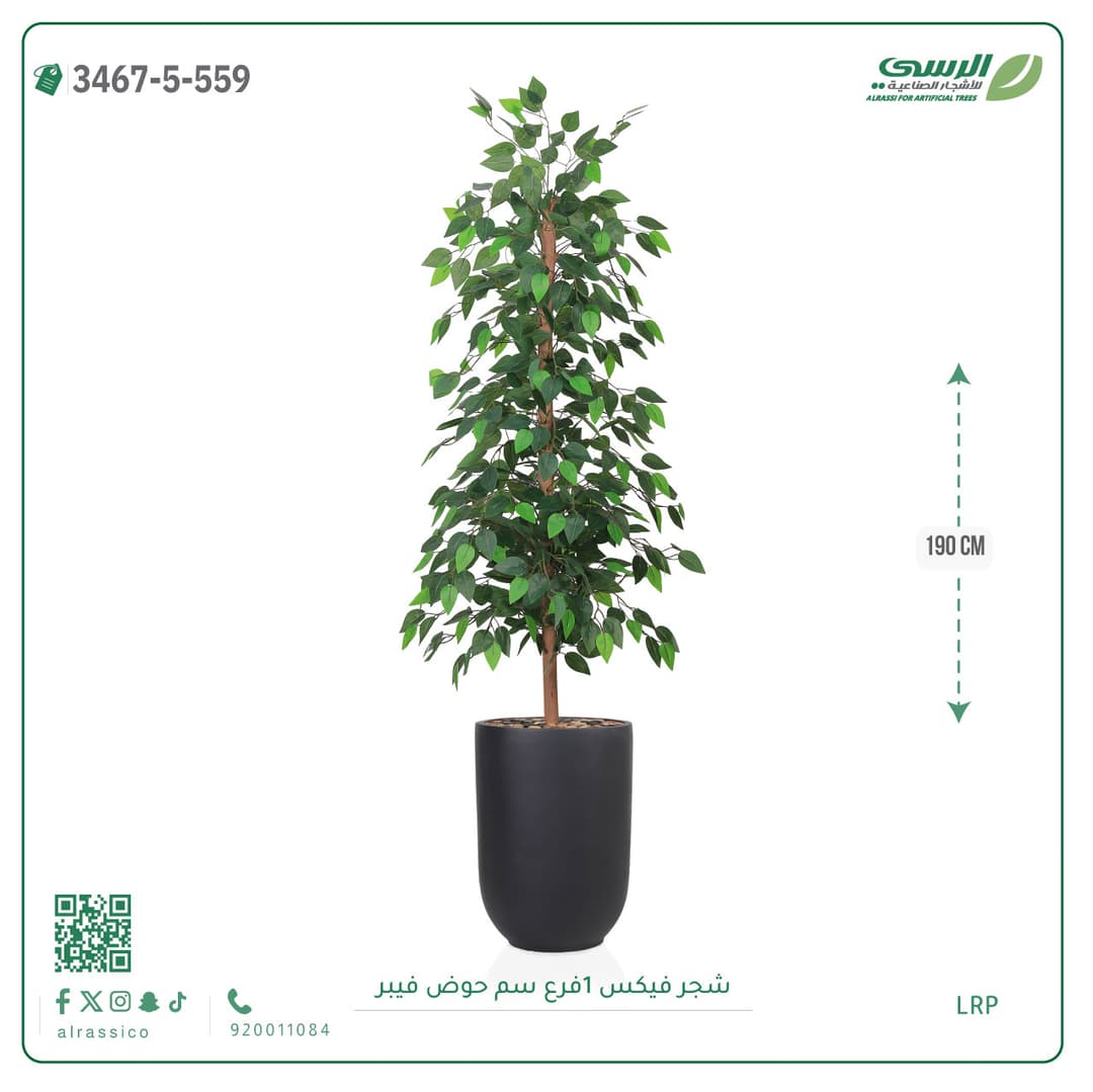 شجرة فيكس صناعية بحوض فيبر لون غامق